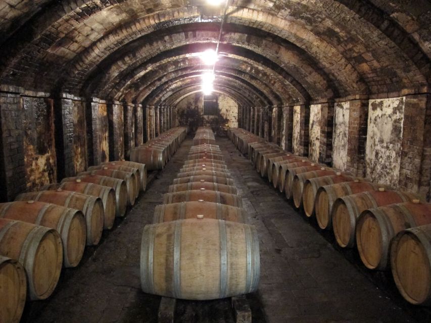 From Florence: Private Wine Tasting Tour in Chianti - Description and Inclusions