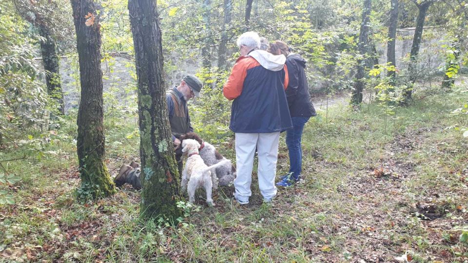 From Florence: Truffle Hunt and Lunch in the Countryside - Inclusions