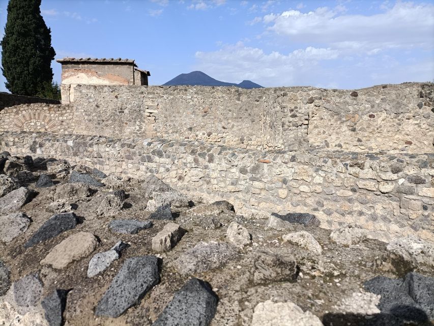 From Naples: Pompeii & Peastum Guided Tours - Itinerary