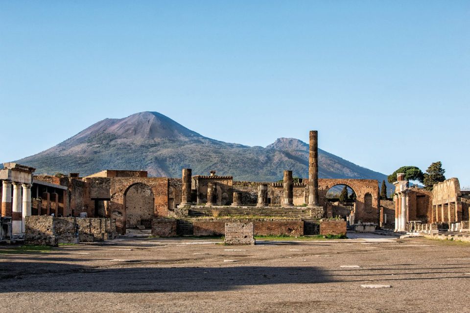 From Naples: Private Herculaneum and Pompeii Return Transfer - Itinerary