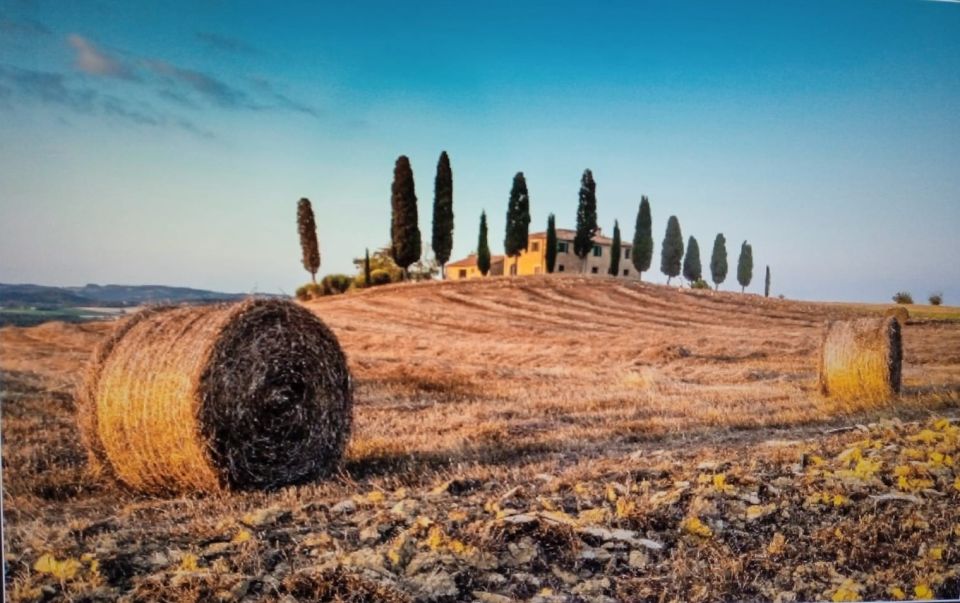 From Rome: Montepulciano and Pienza Tour With Wine Tasting - Experience