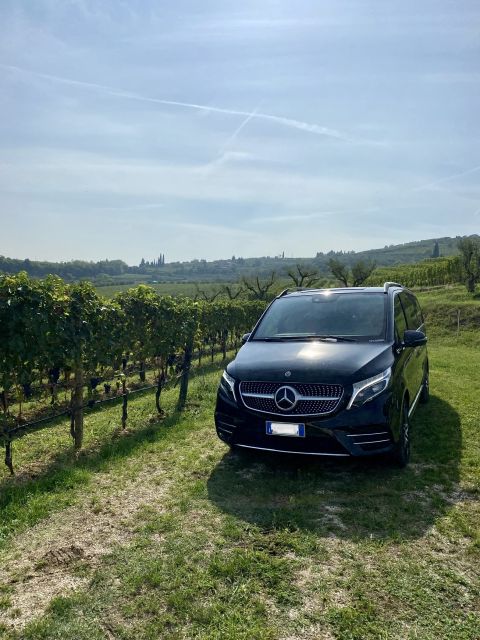 Full Day Tour of Ferrari,Parmesan,Vinegar, Lambrusco W/Lunch - Inclusions