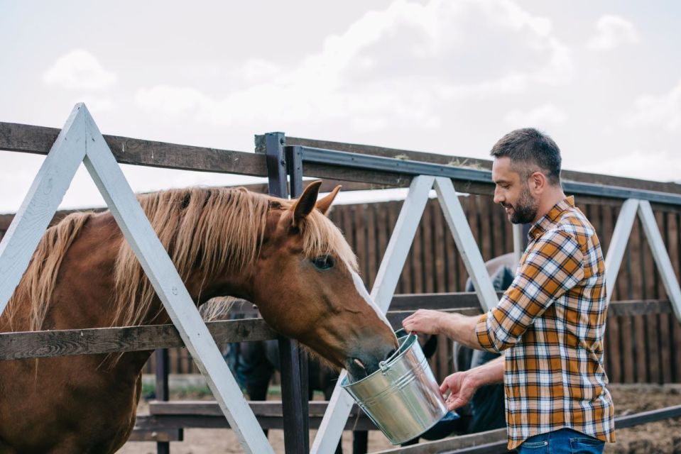 Horse Riding Through the Valleys + Food Tasting - Activity Description