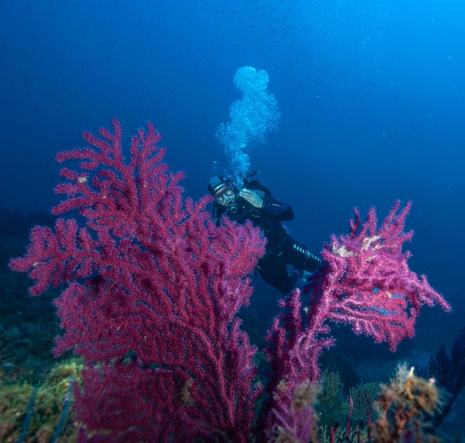 MARINA DI CAMPO: DIVING ON THE ISLAND OF ELBA AND PIANOSA - Equipment and Inclusions Provided