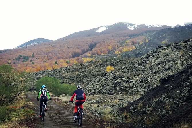 Mount Etna E-Bike Half-Day Tour - Meeting Details