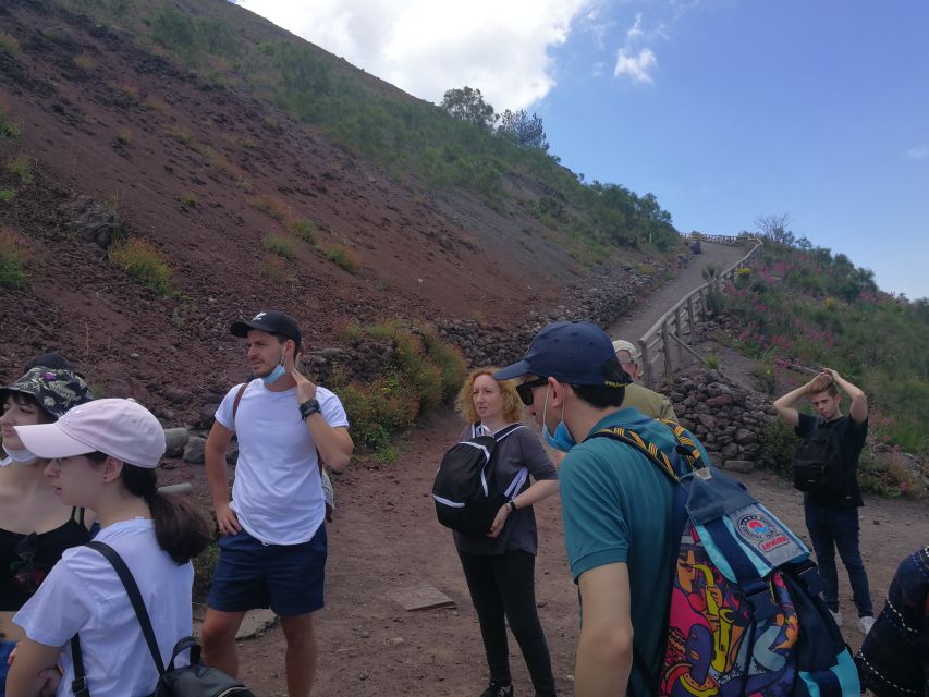 Naples: Pompeii, Mount Vesuvius, and Herculaneum Trip - Inclusions and Exclusions