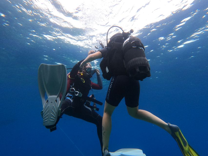 Open Water Diver 1st Level Course in Villasimius - Course Description