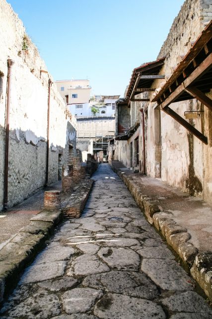 Pompeii Tour From Amalfi Coast - Driver and Private Group Information