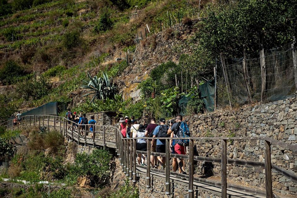 Private Cinque Terre Tour From Florence With Optional Hike - Highlights