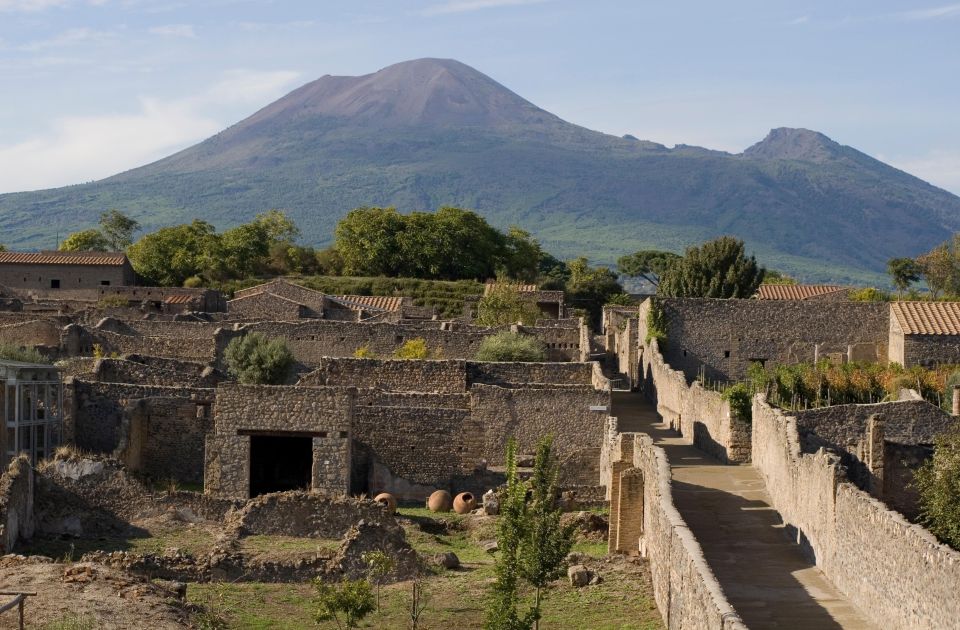 Private Pompeii & Vesuvius Wine Tasting Tour - Experience