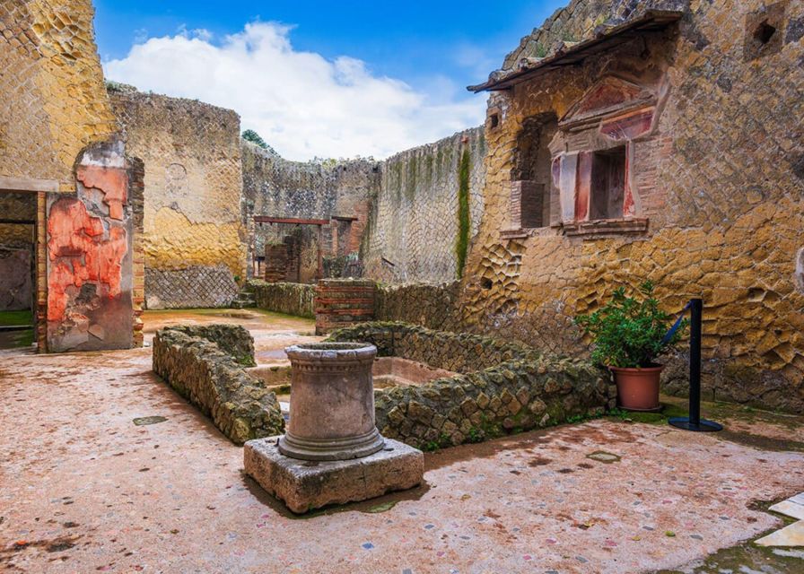 Private Tour Mt.Vesuvius&Herculaneum - Highlights