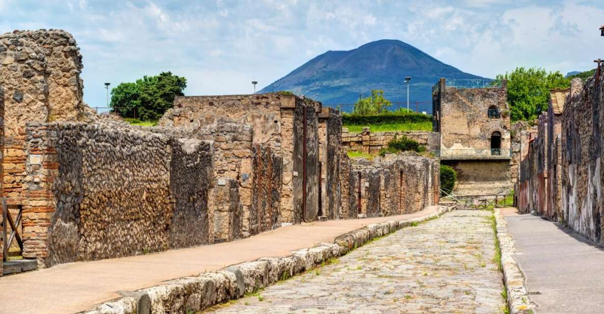 Shared Group: Pompeii Tour and Wine Tasting - Language Options and Accessibility