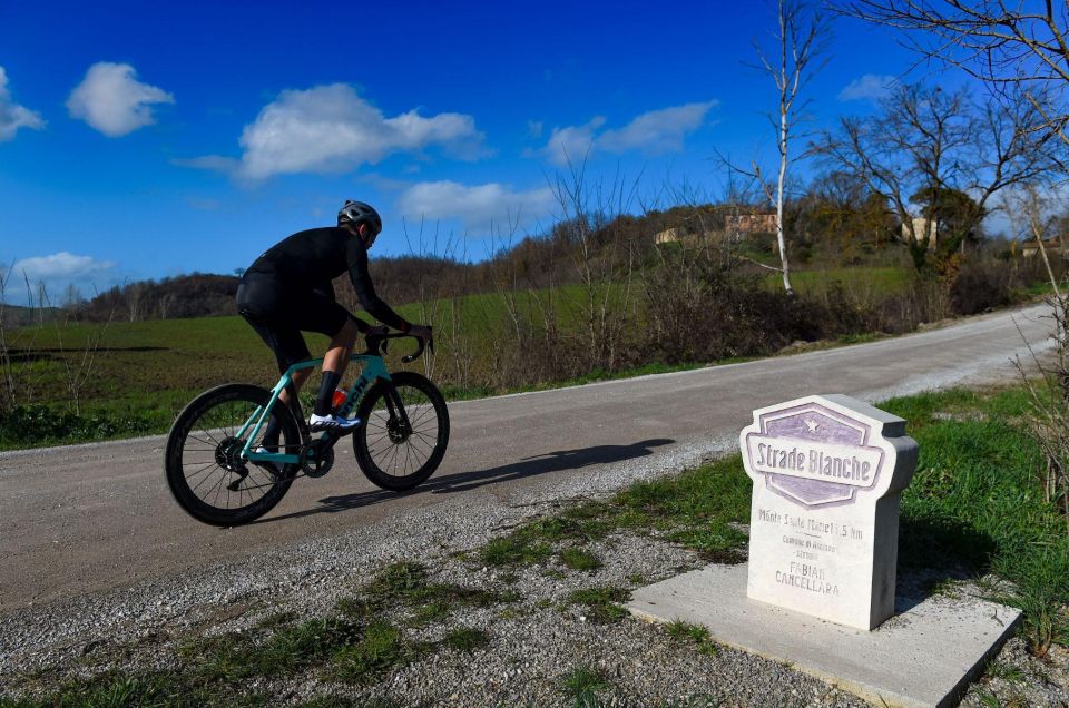 Siena: E-Bike Tour in the Chianti Senese With Lunch - Experience