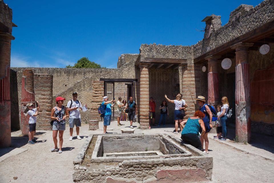 Sorrento: Transfer to Naples With Herculaneum Guided Tour - Booking Details