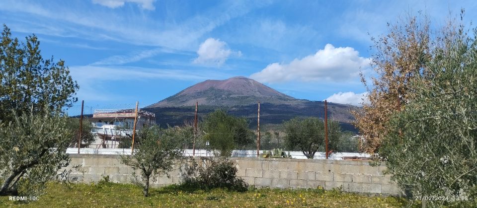 Tour Pompeii and Vesuvius Winery Experience From Naples - Important Information