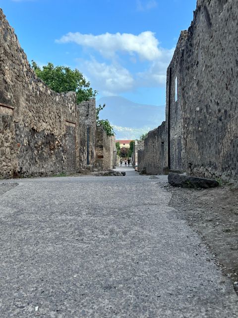 Tour Pompeii and Vesuvius - Tour Description