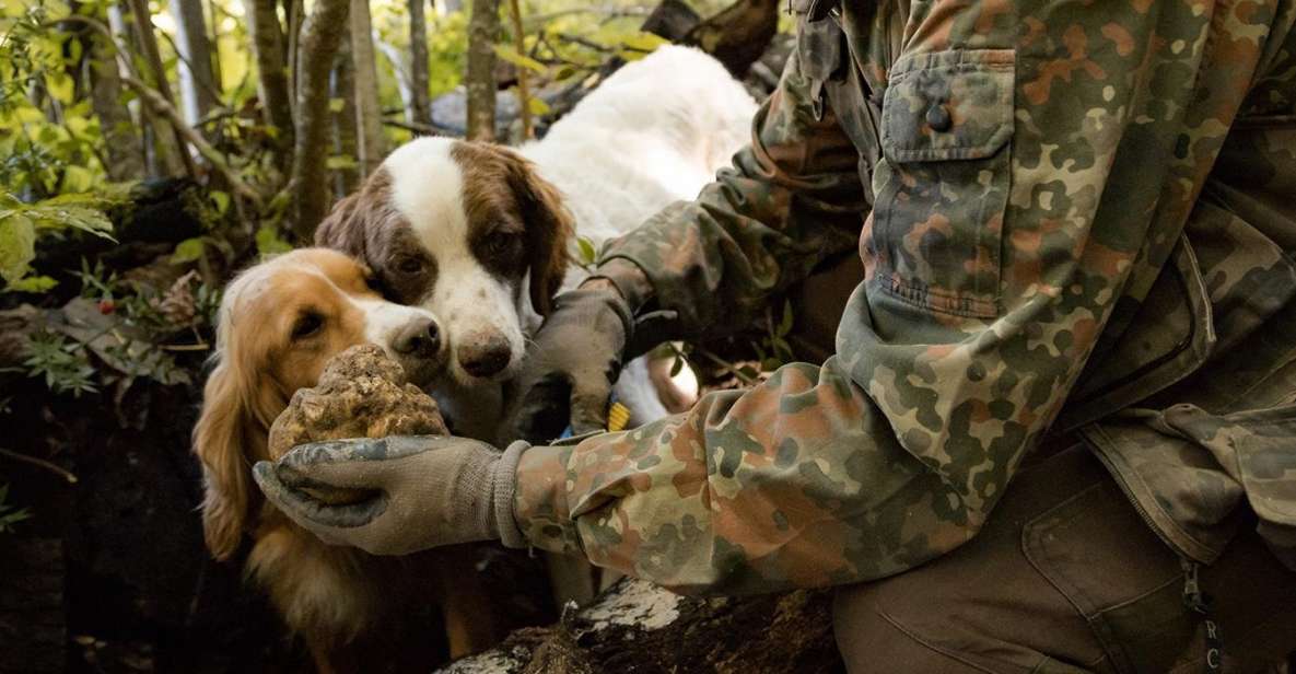 Truffle Hunting in Tuscany With Lunch in the Cellar - Duration and Languages