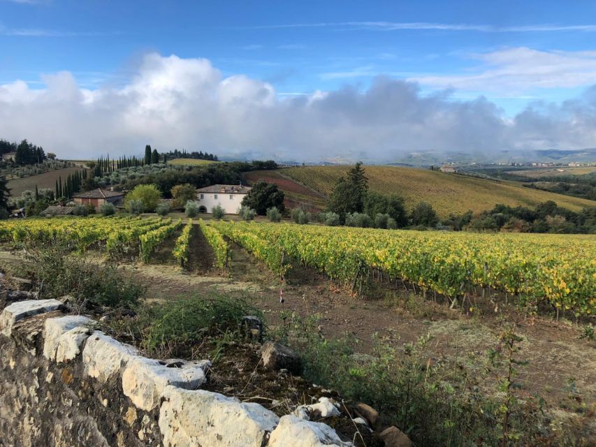 TUSCANY: WINE TASTING IN THE HEART OF CHIANTI CLASSICO - Itinerary and Stops