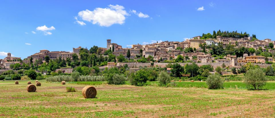 Umbria: Spello to Assisi Trekking on Mount Subasio + Lunch - Activity Description