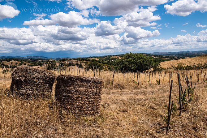 Visit to an Organic Farm and Tasting of Natural Wines - Sample Menu