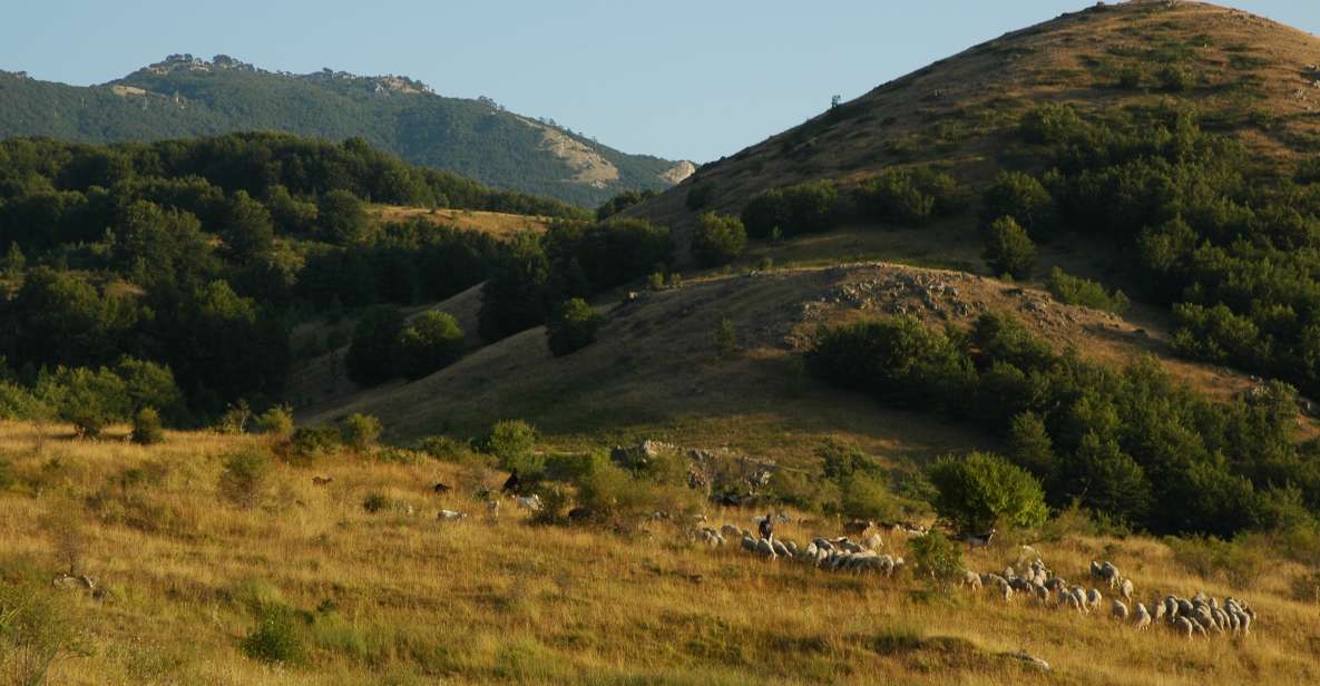 Cesaro: Private Guided Hike to Monte Pelato With Lunch - Important Information