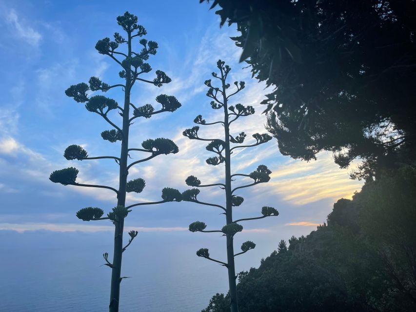 Cinqueterre Experience - Suitability Information