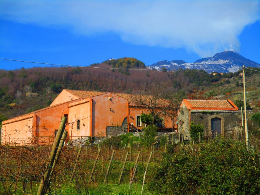 Etna: Tour in a Vintage Car With Cooking Class and Pickup - Important Information