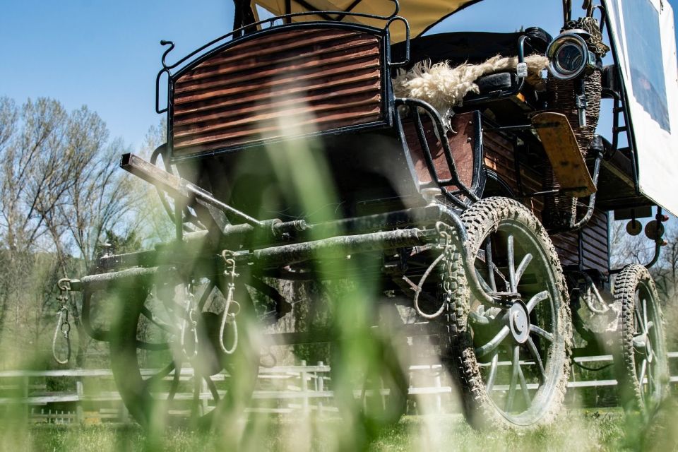 From Florence: Carriage Ride in Chianti Hills With Lunch - Inclusions