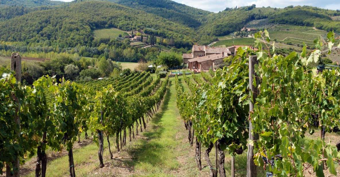 From Florence: Private Wine Tasting Tour in Chianti - Booking Information