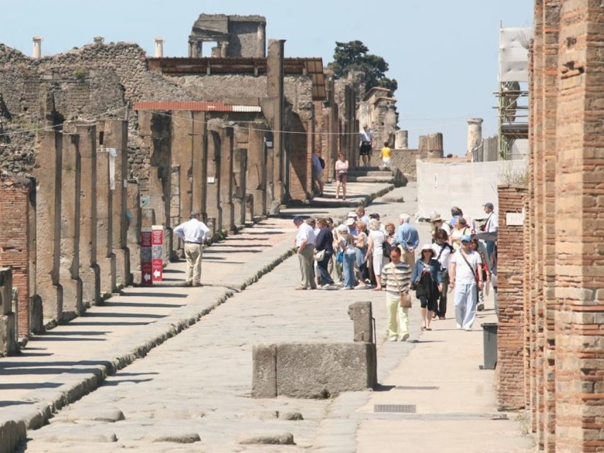 From Rome: Pompeii and Naples Private Day Tour With Lunch - Customer Review