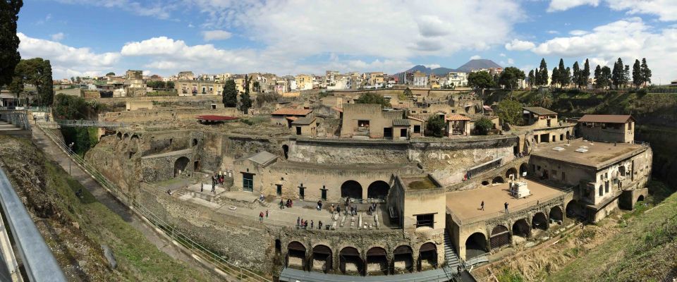 Herculaneum and Mount Vesuvius Private Tour - Highlights of the Tour