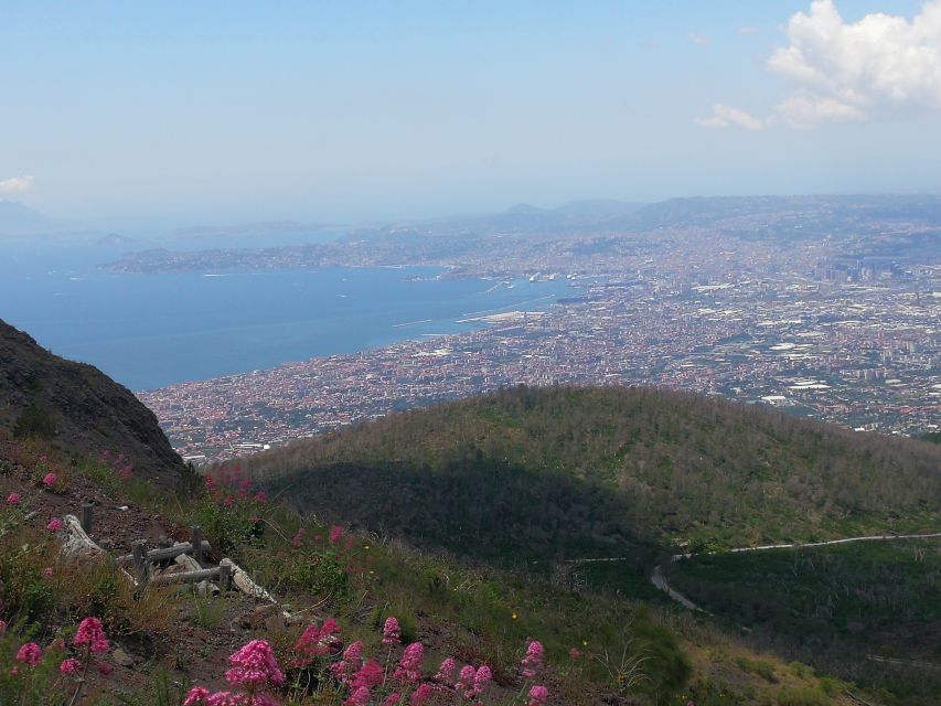 Naples: Pompeii, Mount Vesuvius, and Herculaneum Trip - Important Details