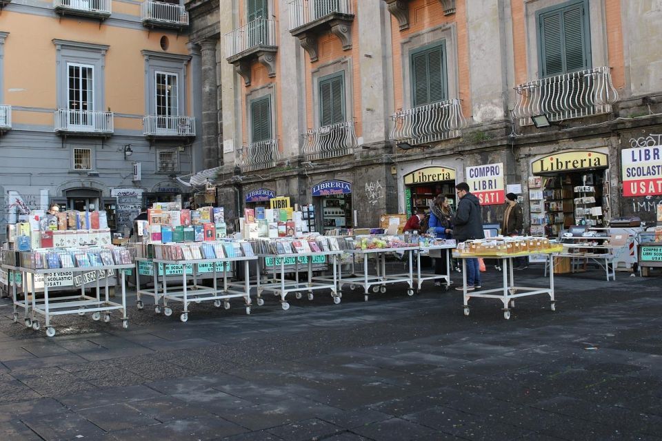 Naples Private 8 Hour Tour From Sorrento - Accessibility