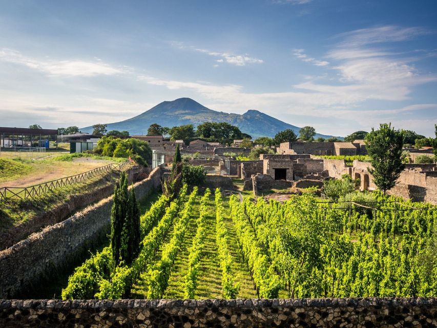 Naples: Vesuvius, Pompeii, and Vineyards Tour - Customer Review and Satisfaction