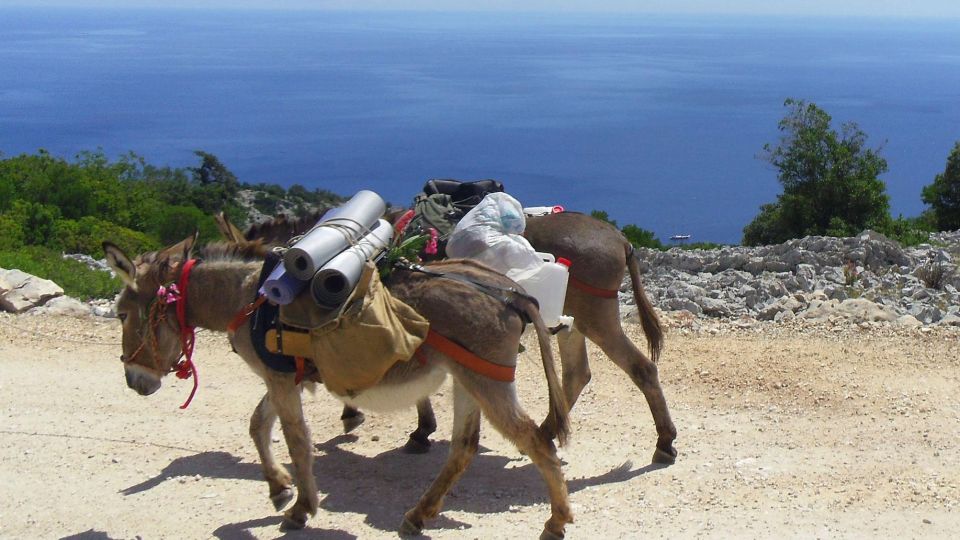 Orosei Gulf: 3 Days Trekking With Donkeys - Frequently Asked Questions