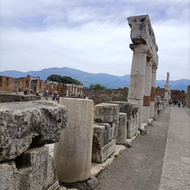 Pompeii Herculaneum and Oplontis With the Guide From Naples - Cancellation Policy