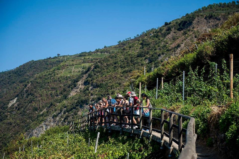 Private Cinque Terre Tour From Florence With Optional Hike - Important Information