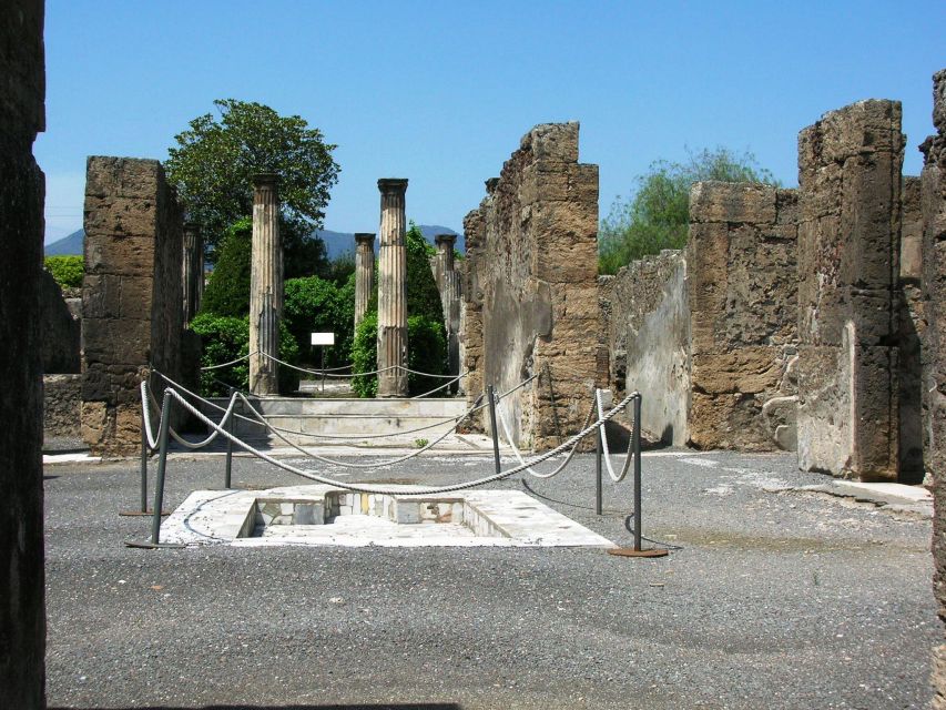 Private Pompeii Tour and Wine Tasting - Experience Description