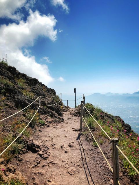 Private Tour Mt.Vesuvius&Herculaneum - Description