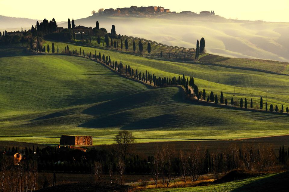 Rome to Tuscany: Private Chauffeur Transfer - Vehicle Comfort and Amenities