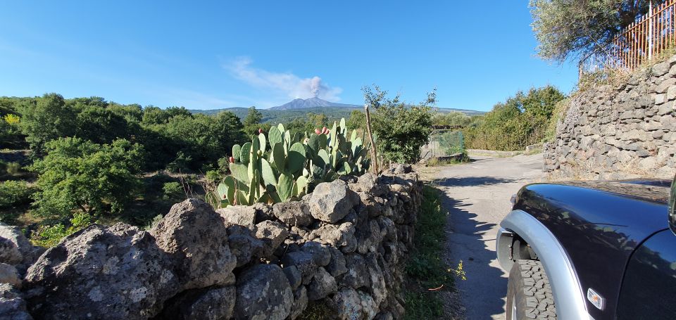 Sicily: Mount Etna 4x4 Jeep Tour With Lava Caves & Forests - Background Information