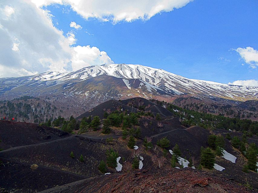 Taormina and Catania: Private Etna Exploration and Cave Tour - Customer Reviews