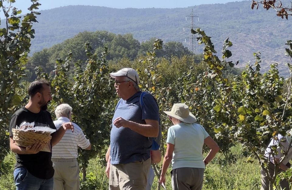 Taormina Food and Wine Tour With Lunch in a Etna Winery - Booking Information