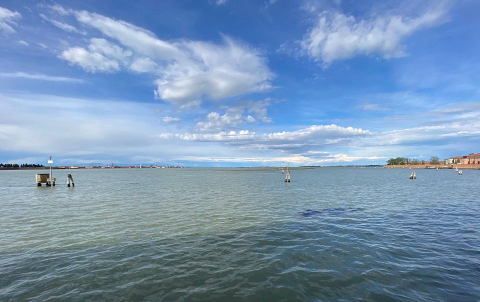 Birdwatching: in Laguna Di Venezia - Conservation Efforts in the Lagoon