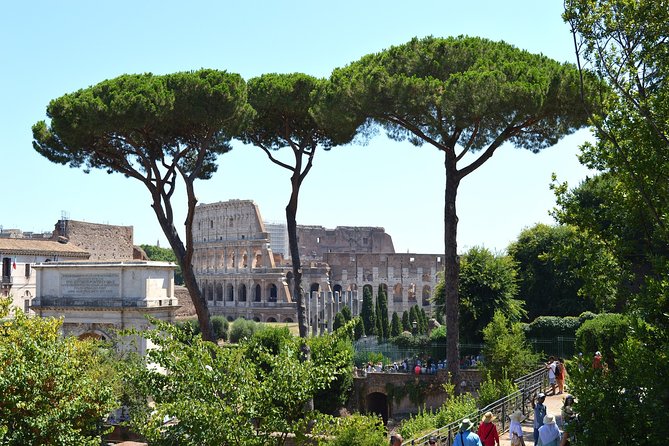 Colosseum, Roman Forum and Palatine Hill Tour Professional Guided Tour - Customer Feedback