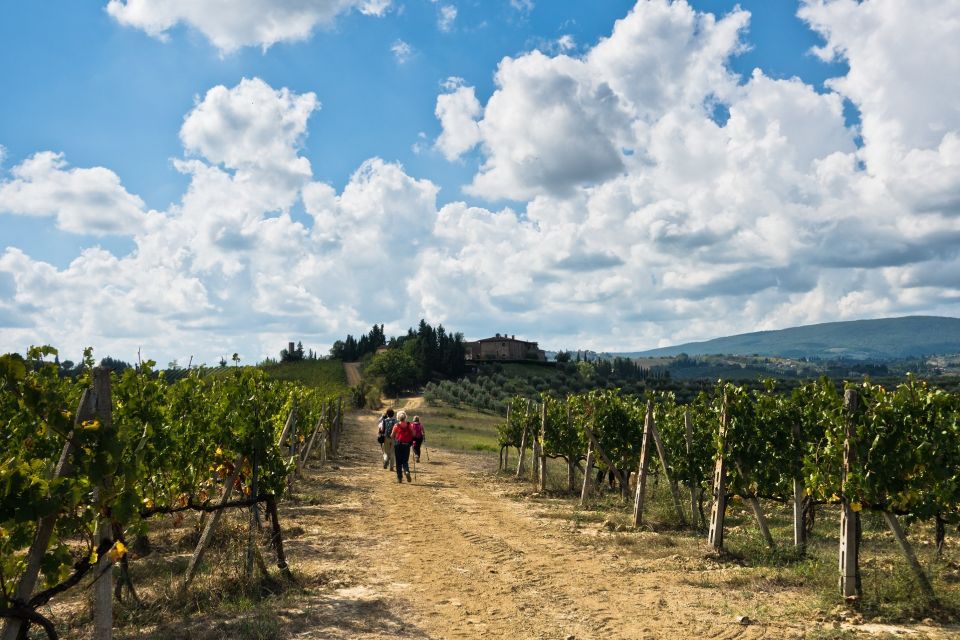 Florence: Private Half-Day Chianti Tour - Duration and Languages