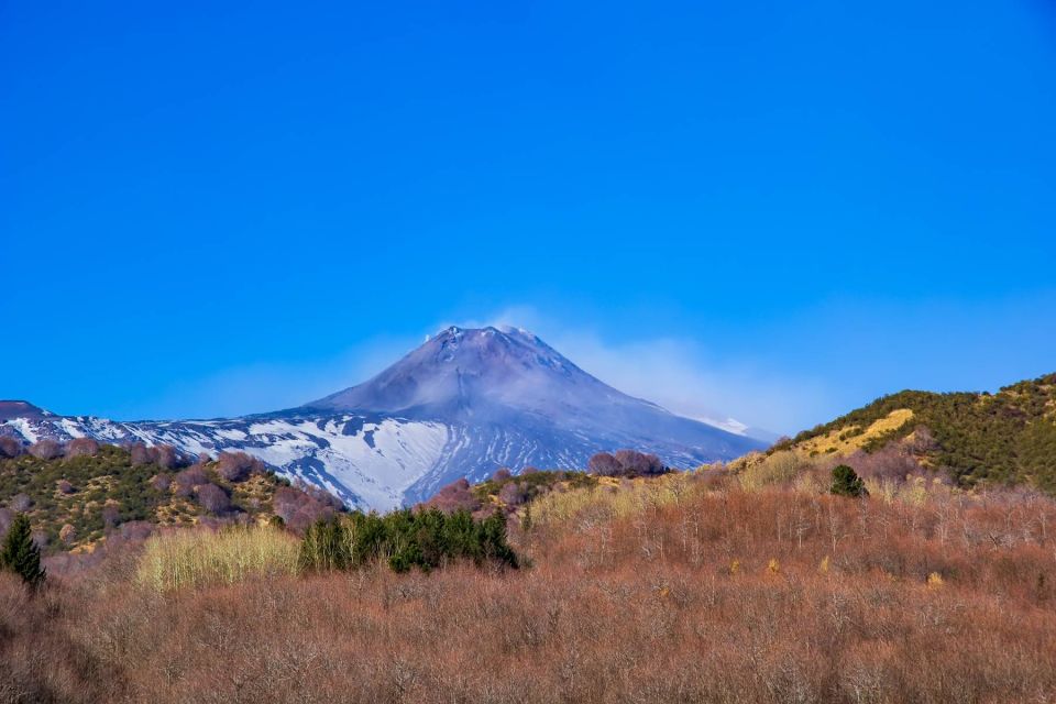 From Catania/Taormina: Mount Etna Private Wine Tasting Tour - Traveler Recommendations