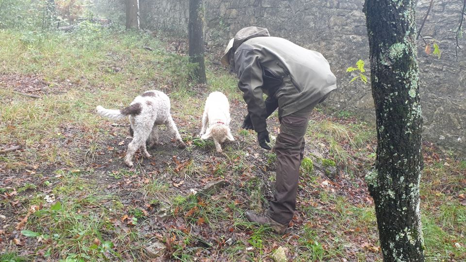 From Florence: Truffle Hunt and Lunch in the Countryside - Meeting Point