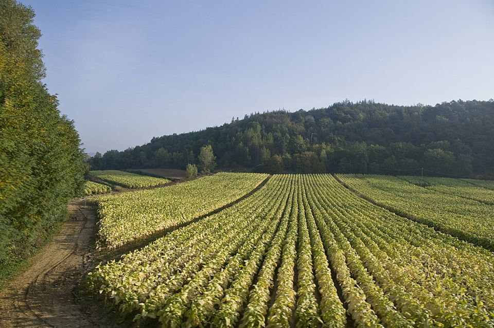 From Rome: Tuscany and Montepulciano Nobile Wine Guided Tour - Directions