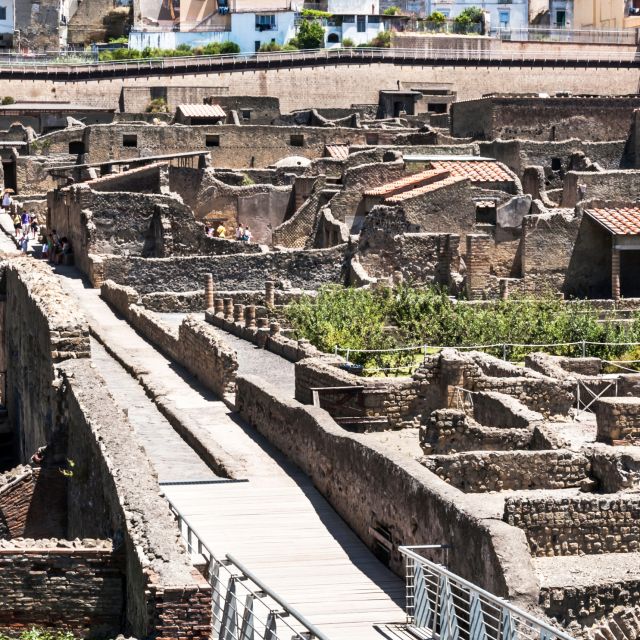 Herculaneum-Vesuvius: a Plunge Into the Past - Reservation Process